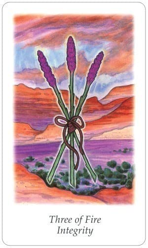 Vision Quest Tarot Deck,New