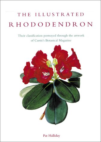 Illustrated Rhododendron: Their Classification Portrayed Through the Artwork of Curtis's Botanical Magazine,Used