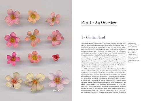 Saxifrages: The Definitive Guide To 2000 Species, Hybrids & Cultivars,Used