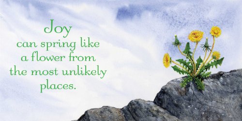 Bee Happy!: Wit & Wisdom for a Happy Life,Used
