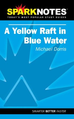 Spark Notes Yellow Raft in Blue Water,Used
