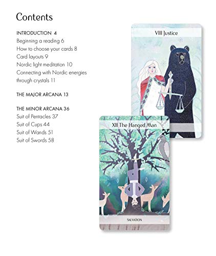 The Magical Nordic Tarot: Includes a full deck of 79 cards and a 64page illustrated book,Used
