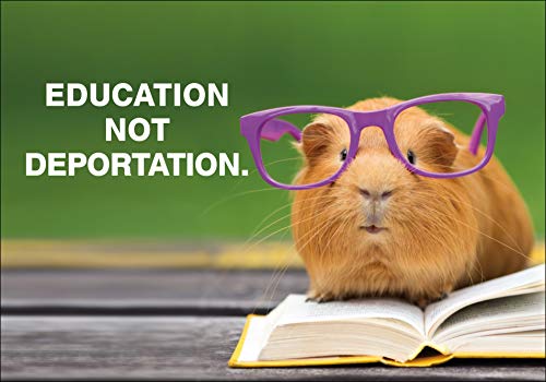 Fire and Furry: Pets Get Political,Used