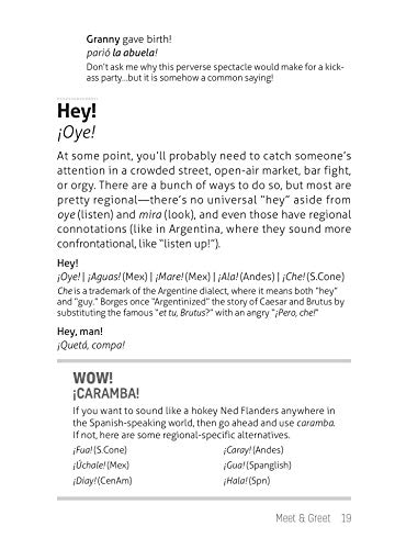 What They Didn't Teach You in Spanish Class: Slang Phrases for the Cafe, Club, Bar, Bedroom, Ball Game and More (What They Didn',Used