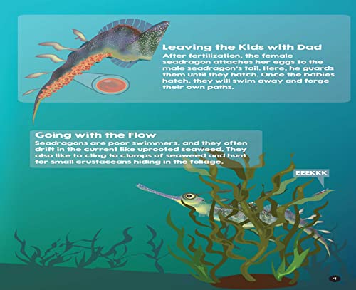 Squidtoons: Exploring Ocean Science with Comics,Used