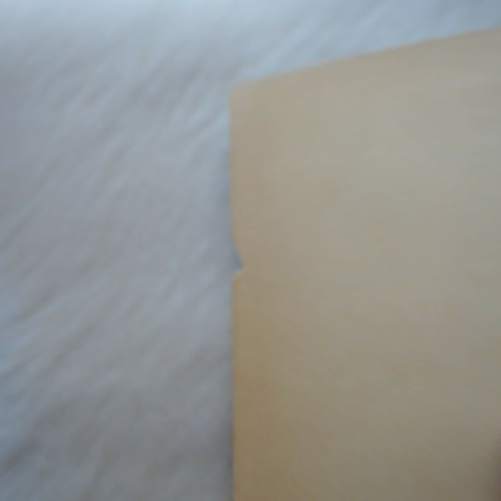 The Complete Guide To The Babysitters Club (Babysitters Club Portrait Collection),New