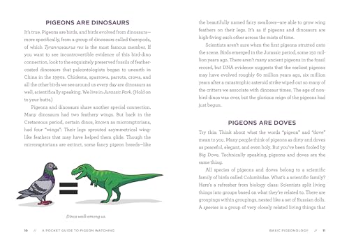 A Pocket Guide to Pigeon Watching: Getting to Know the World's Most Misunderstood Bird,New