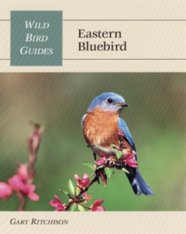 Wild Bird Guide: Eastern Bluebird (Wild Bird Guides),New