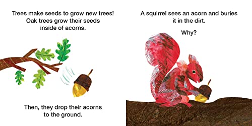How Does A Seed Sprout?: Life Cycles With The Very Hungry Caterpillar (The World Of Eric Carle)-new