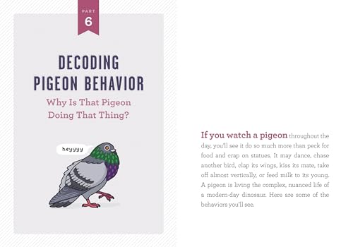 A Pocket Guide to Pigeon Watching: Getting to Know the World's Most Misunderstood Bird,New