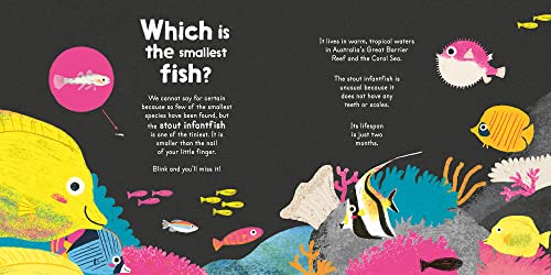 I am a Fish,Used