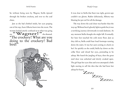 Awful Auntie: The Sunday Times bestselling mystery adventure book for kids ages 9+,Used