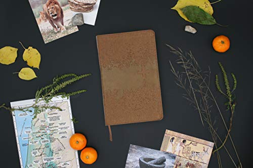 NIV, Kids' Visual Study Bible, Leathersoft, Bronze, Full Color Interior: Explore the Story of the BiblePeople, Places, and Hi,New