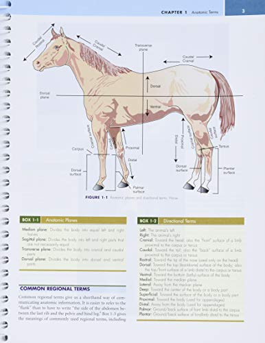 Laboratory Manual for Clinical Anatomy and Physiology for Veterinary Technicians,Used