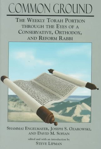 Common Ground: The Weekly Torah Portion Through the Eyes of a Conservative, Orthodox, and Reform Rabbi,New