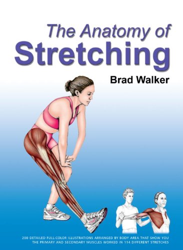 The Anatomy Of Stretching