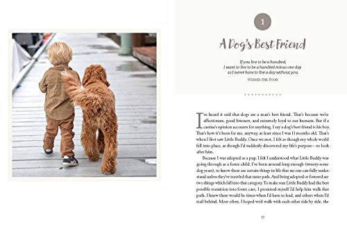 Reagandoodle and Little Buddy: The True Story of a Labradoodle and His Toddler Best Friend (Adventures of Reagandoodle and Littl,New