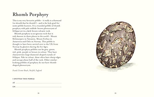 The Pebble Spotter's Guide,Used
