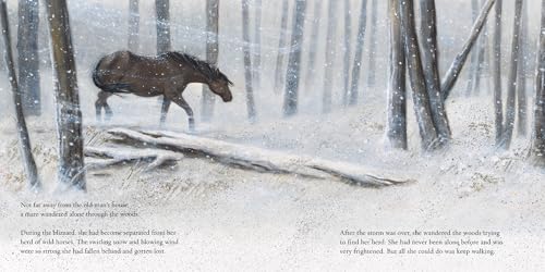 Winter's Gift,Used
