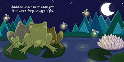 NightNight, Forest Friends,Used