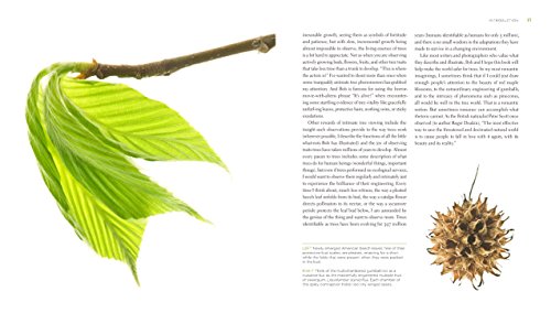 Seeing Trees: Discover the Extraordinary Secrets of Everyday Trees (Seeing Series),New