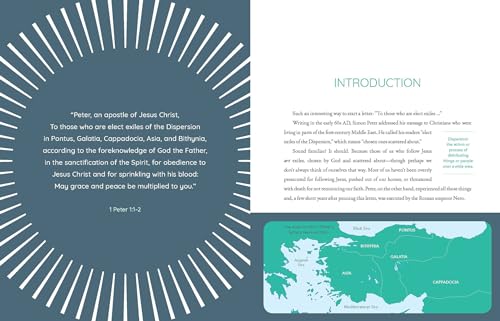 God's Goodness for the Chosen: An Interactive Bible Study Season 4 (Volume 4),Used