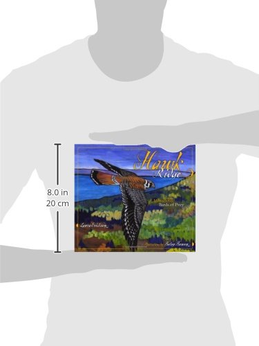 Hawk Ridge: Minnesota's Birds of Prey,Used