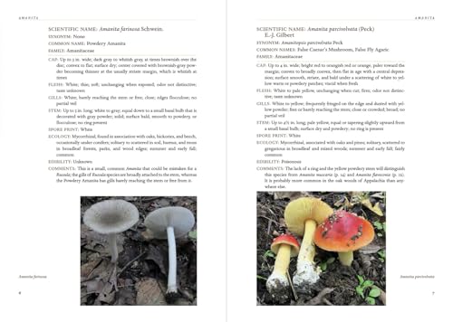 Appalachian Mushrooms: A Field Guide,Used