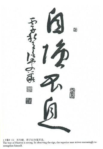 Book of Changes Interpretation for The,Used