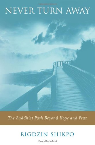 Never Turn Away: The Buddhist Path Beyond Hope and Fear,Used