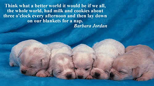 Pooped Puppies: Life's Too Short to Work Like a Dog,Used