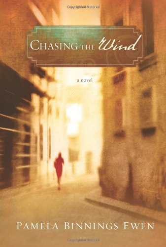 Chasing the Wind: A Novel,Used