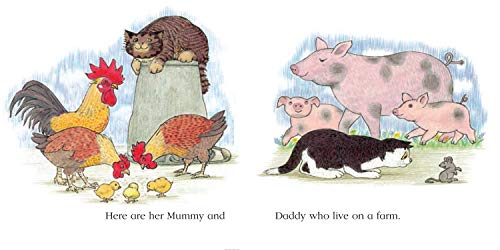 Mogs Family of Cats,Used