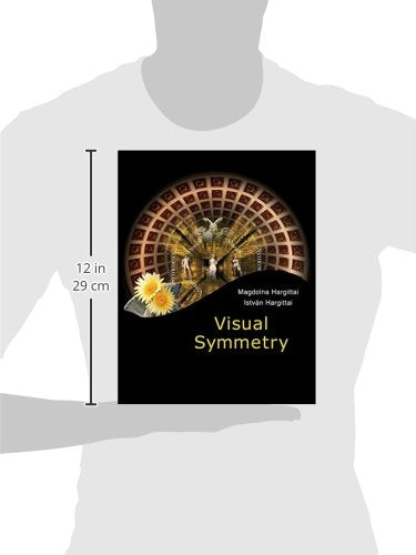 VISUAL SYMMETRY,Used