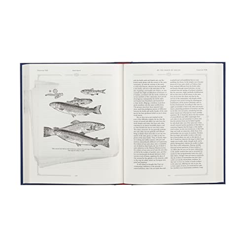 On the Origin of the Species: Slipcased Edition,Used