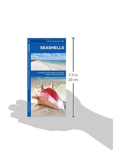 Seashells: A Folding Pocket Guide to Familiar North American Species (A Pocket Naturalist Guide),Used