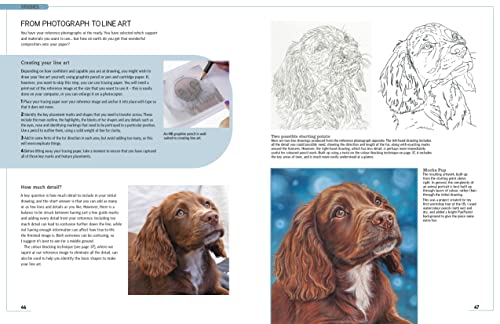 Drawing Animal Portraits in Coloured Pencil,Used