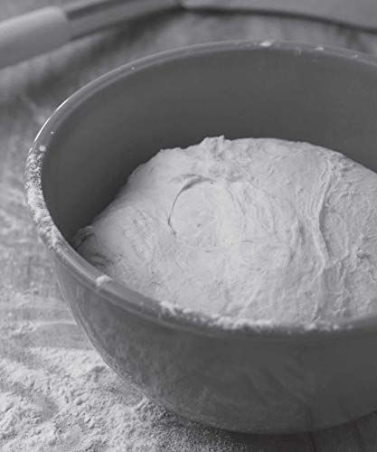 Baking Artisan Bread with Natural Starters,Used