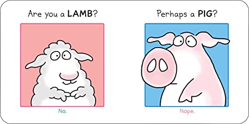 Are You a Cow?,Used