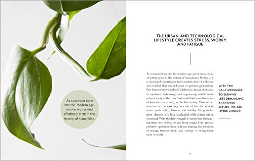 Skogluft: Norwegian Secrets for Bringing Natural Air and Light into Your Home and Office to Dramatically Improve Health and Happ,Used