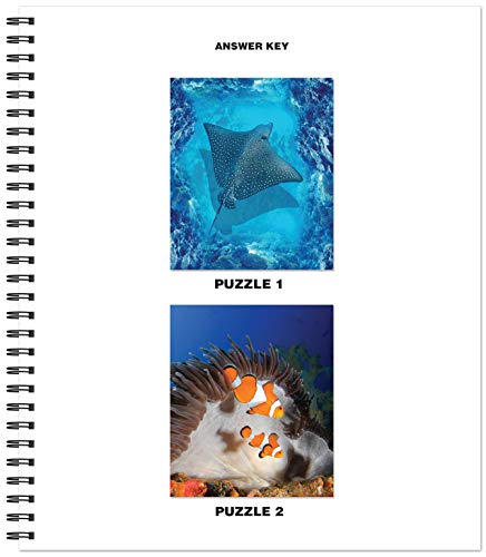 Brain Games Sticker by Number: Ocean Life (Easy Square Stickers): Create Beautiful Art With Easy to Use Sticker Fun!,Used
