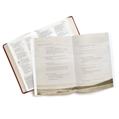 David Bible Study Book (Updated Edition): Seeking a Heart Like His,Used