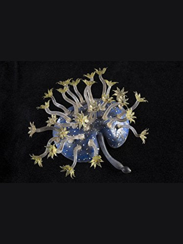 A Sea of Glass: Searching for the Blaschkas' Fragile Legacy in an Ocean at Risk (Volume 13) (Organisms and Environments),Used