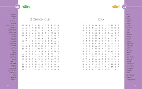 Large Print Bible Word Search Book: 100 Challenging and Fun Puzzles for Adults,Used
