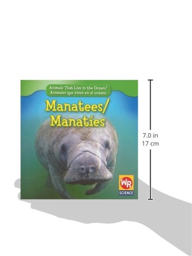 Manatees/Manates (Animals That Live in the Ocean/Animales Que Viven En El Oceano) (English and Spanish Edition),Used