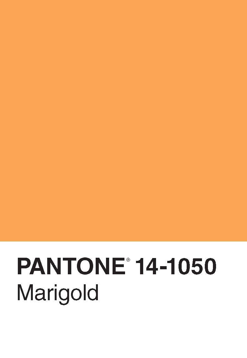 Pantone 50 Postcards,New