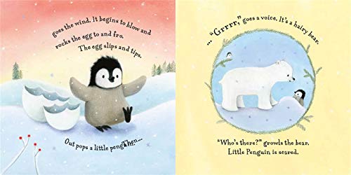 Little Lost Penguin: Padded Board Book,Used