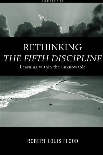 Rethinking The Fifth Discipline,Used