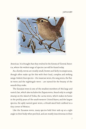 The Wren: A Short Biography,Used