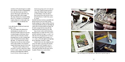 Angie Lewin: Plants and Places,Used